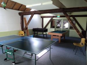 ein Tischtennisraum mit einer Tischtennisplatte in der Unterkunft Hubertushoeve in Diever