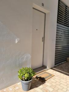 Fotografie z fotogalerie ubytování Piso Baviera Golf Costa del Sol v destinaci Caleta De Velez