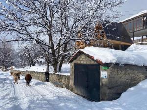 Guesthouse Data взимку