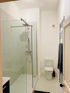 Un baño con ducha de cristal y un inodoro. en NiCheGetaway, en Shrewsbury