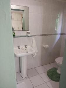 ein Badezimmer mit Waschbecken, Spiegel und Toilette in der Unterkunft Montrose Valley B&B in East London