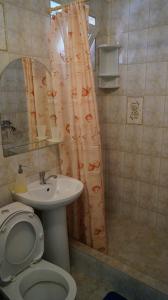 アルヒーポ・オシポフカにある"Sunset"のバスルーム(トイレ、洗面台、シャワーカーテン付)