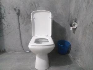 a white toilet in a bathroom with a shower at Organic farm Wish Prabha lake view homestay in Sigiriya