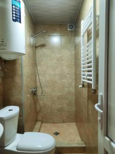 La salle de bains est pourvue d'une douche et de toilettes. dans l'établissement Brothers khutsishvili wine cellar, à Kisiskhevi