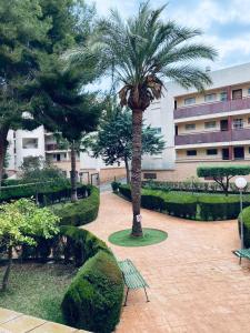 una palmera y un banco en un patio en Apartamento Mil Palmeras, en Pilar de la Horadada