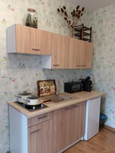 Kuchnia lub aneks kuchenny w obiekcie Studio in Kretomino
