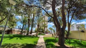 Gallery image of Primera Línea Pau 5 - Playa de San Juan in Playa de San Juan