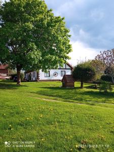 una casa blanca con un árbol y un campo de hierba en Pokoje u Roberta, en Węgorzewo