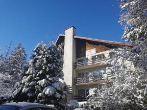 a building with snow covered trees in front of it at Malinowy Domek in Karpacz