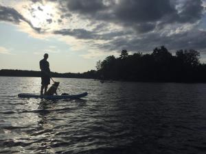 un hombre y un perro en una tabla de paddle en el agua en Breanäs Hotell en Immeln