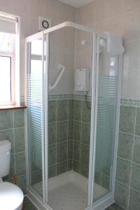 Ванна кімната в Seacourt Accommodation Tramore - Adult Only