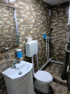 a bathroom with a toilet and a sink at Pensiunea Casa Bianca in Târgu Jiu +21 photos