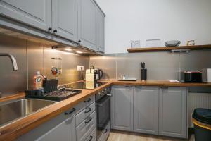 Kuchyňa alebo kuchynka v ubytovaní Koffer Apartman