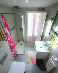 a bathroom with a shower and a toilet and a sink at Divino en playa in Granadilla de Abona