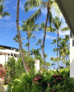 a view of palm trees from the lobby of a resort at Oasis Apartment C4 inside ALIGIO Residence Hotel in Las Terrenas +5 photos