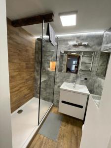łazienka z prysznicem i umywalką w obiekcie Mostowa Apartment w Toruniu