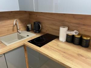 kuchnia z blatem ze zlewem i blatem w obiekcie Mostowa Apartment w Toruniu