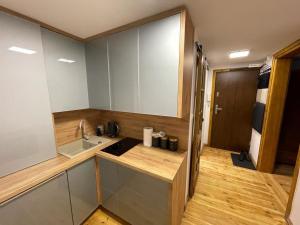 małą kuchnię ze zlewem i blatem w obiekcie Mostowa Apartment w Toruniu +5 zdjęć