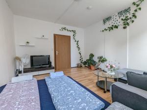 a living room with a couch and a table at Cozy Room in a Sharing Apartment WG in the black forest in Villingen-Schwenningen