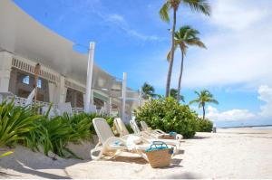 eine Gruppe von Stühlen am Strand mit Palmen in der Unterkunft Villa Real Playa Nueva Romana in La Romana