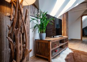 Fotografie z fotogalerie ubytování Villa Ambach v destinaci Oetz
