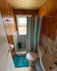 a bathroom with a toilet and a shower and a sink at Cabañas Campestres Villarrica in Villarrica