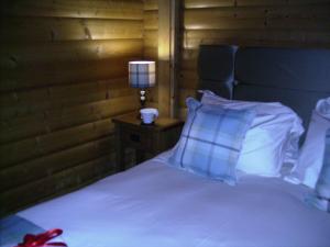a bedroom with a bed and a lamp on a night stand at Pheasant Lodge Scottish Borders in Carlisle