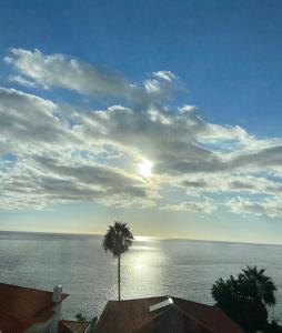 eine Palme und der Ozean unter einem wolkigen Himmel in der Unterkunft Ocean Cliffs Apartments in Funchal