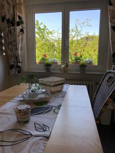 uma mesa com plantas numa sala com uma janela em Tarrazza Ferienwohnungen Erpeldinger em Ellenz-Poltersdorf
