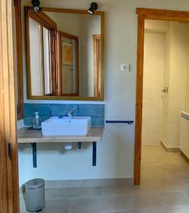 a bathroom with a sink and a mirror at Balcón de Pineta in Bielsa