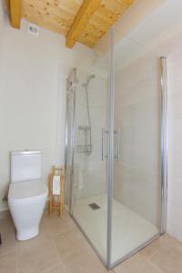 uma cabina de duche na casa de banho com WC em Balcón de Pineta em Bielsa