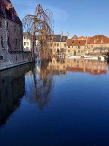 une grande masse d'eau devant les bâtiments dans l'établissement Bruges Grande Place Guesthouse, à Bruges