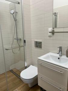 a white toilet sitting next to a shower in a bathroom at Plac Katarzyny 13 in Toruń