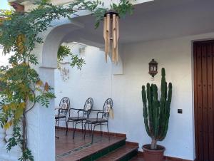 a patio with two chairs and a cactus at Casa Flora - Mijas Costa - Andalusië in Mijas