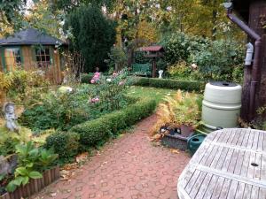 a garden with a bench and some flowers and plants at Ruhiges, gemütliches Zimmer mit Bad für 2 Personen, mit Gartenterasse in Lübeck