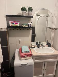 Ένα μπάνιο στο Superbe appartement spacieux avec parking et jardin privé +10 φωτογραφίες