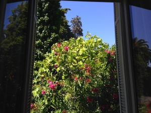 a window view of a bush with pink flowers at Résidence La Villa Léonie in Nice