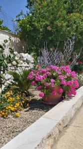 a flower garden with pink flowers in a pot at Masseria Parco delle Casette in Alberobello