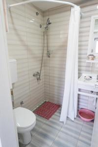 a bathroom with a shower with a toilet and a sink at Apartmani Zapis Vrdnik in Vrdnik