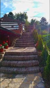 a set of stone stairs leading up to a building at Apartmani Zapis Vrdnik in Vrdnik