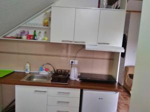 Cucina o angolo cottura di Apartmani Zapis Vrdnik