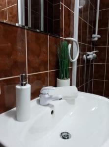 un lavabo de salle de bain avec une plante dessus dans l'établissement apartament Dominik, à Zakopane 23 autres photos