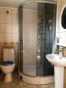 a bathroom with a shower and a toilet and a sink at HOUSE Mold in Lazeshchyna