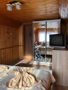 a bedroom with a tv and a bed in a room at HOUSE Mold in Lazeshchyna