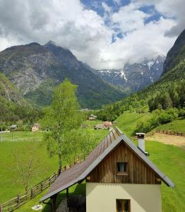 a barn in a field with mountains in the background at Organic Tourist Farm Pri Plajerju in Trenta