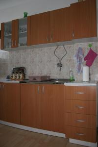 Kuhinja ili čajna kuhinja u objektu Apartman Kneginja