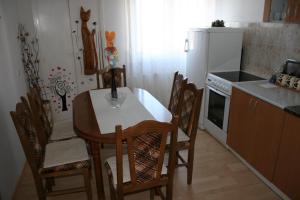 Kuhinja ili čajna kuhinja u objektu Apartman Kneginja