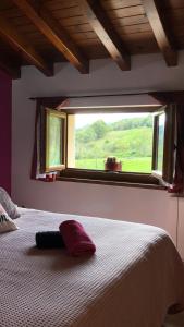Un dormitorio con una cama grande con ventana. en La Galayca, en El Barcenal