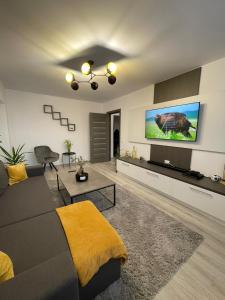 a living room with a couch and a flat screen tv at Chilia 2 Apartments in Chilia Veche