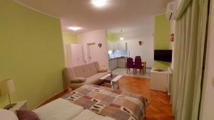 TV a/nebo společenská místnost v ubytování IstraNova Apartments